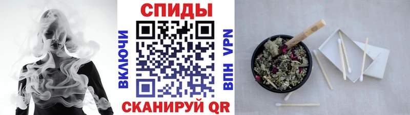 гидра зеркало Питкяранта БУТИРАТ буратино