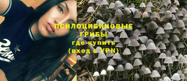 мяу мяу мука Абдулино