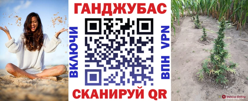 Шишки марихуана сатива  купить наркотики цена  KRAKEN tor  Питкяранта 